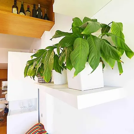 Apartamento En El Sardinero شقة